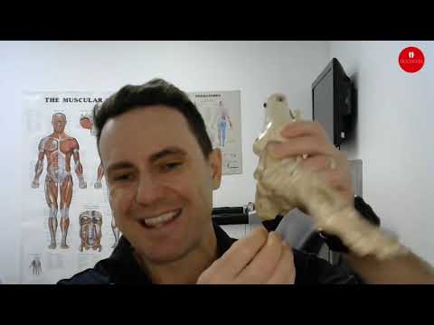 Where Is Plantar Fasciitis Located? Foot Anatomy Explained
