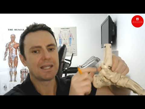 What a Work Boot Shank Does Under the Foot